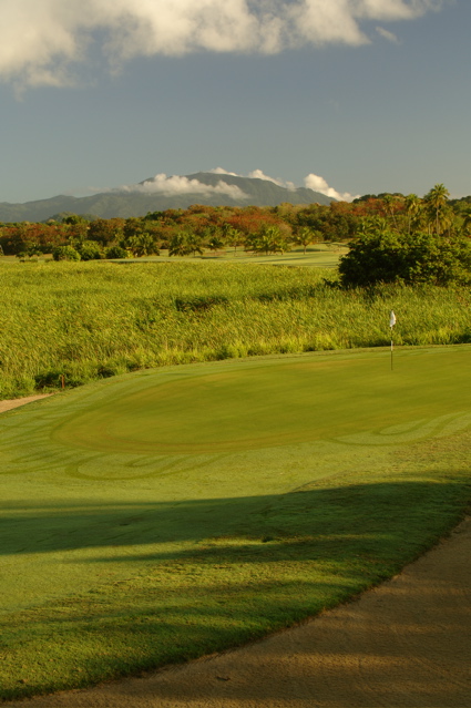 palmasdelmarpalmscourse0385