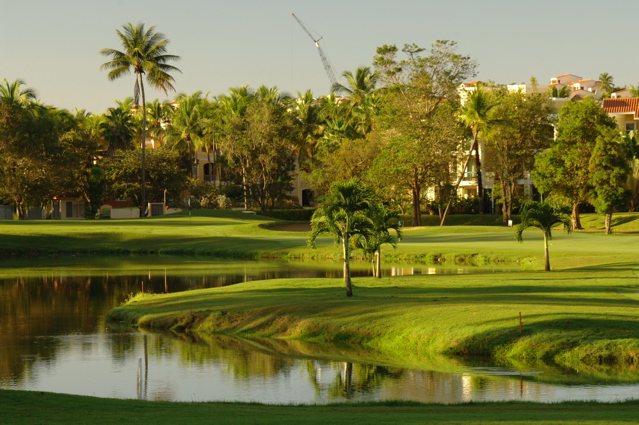 palmasdelmarpalmscourse0389