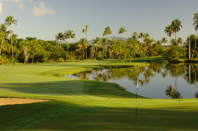 palmasdelmarpalmscourse0393