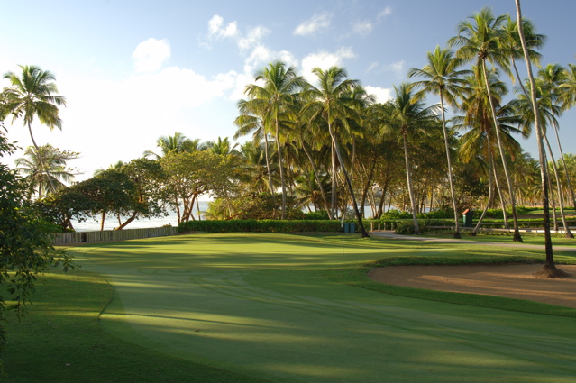 palmasdelmarpalmscourse0294