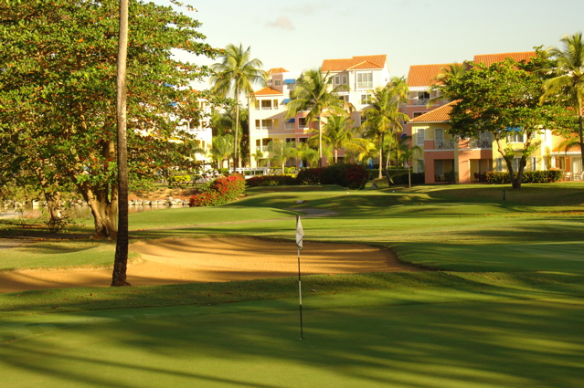 palmasdelmarpalmscourse0296