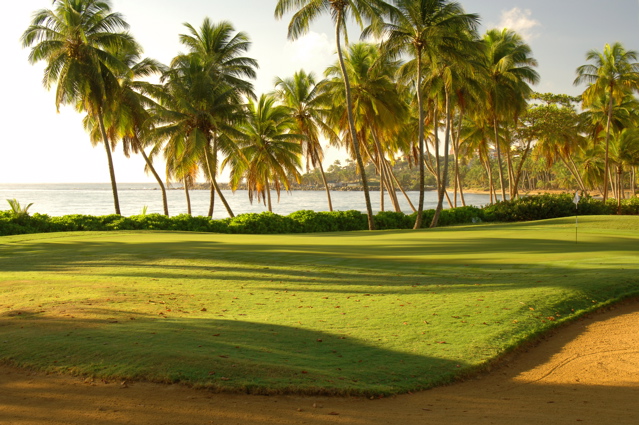 palmasdelmarpalmscourse0303