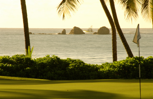 palmasdelmarpalmscourse0314