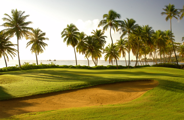 palmasdelmarpalmscourse0305