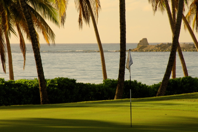 palmasdelmarpalmscourse0309