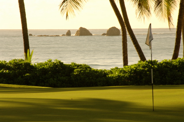 palmasdelmarpalmscourse0312