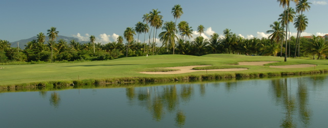 palmasdelmarpalmscourse0333