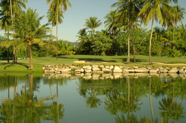 palmasdelmarpalmscourse0334