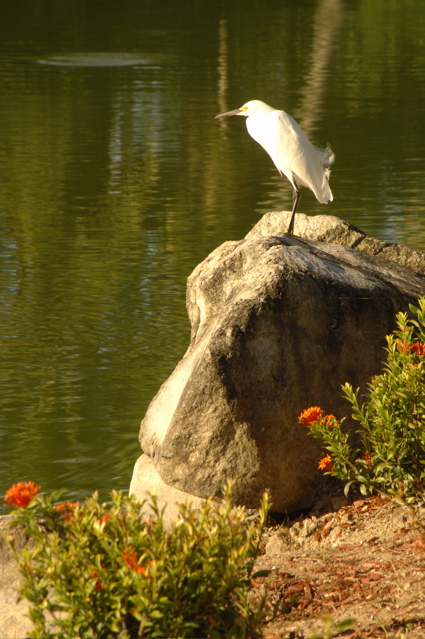 palmasdelmarpalmscourse0341