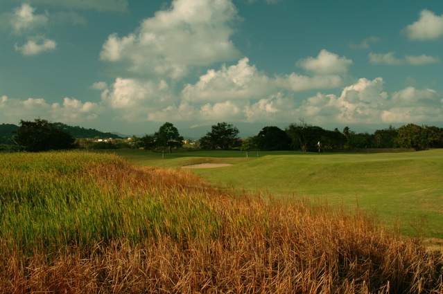 palmasdelmarpalmscourse0459