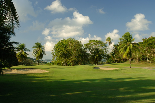 palmasdelmarpalmscourse0461