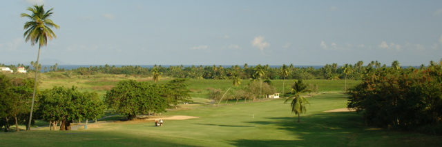 palmasdelmarpalmscourse0464