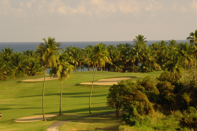 palmasdelmarpalmscourse0472