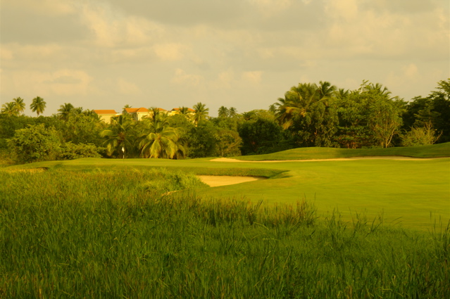 palmasdelmarpalmscourse0479