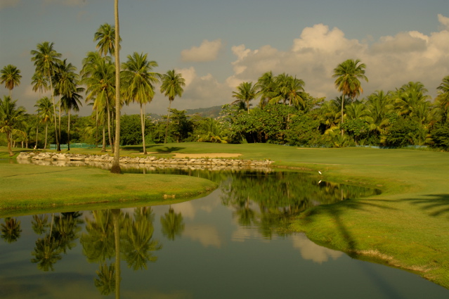 palmasdelmarpalmscourse0499