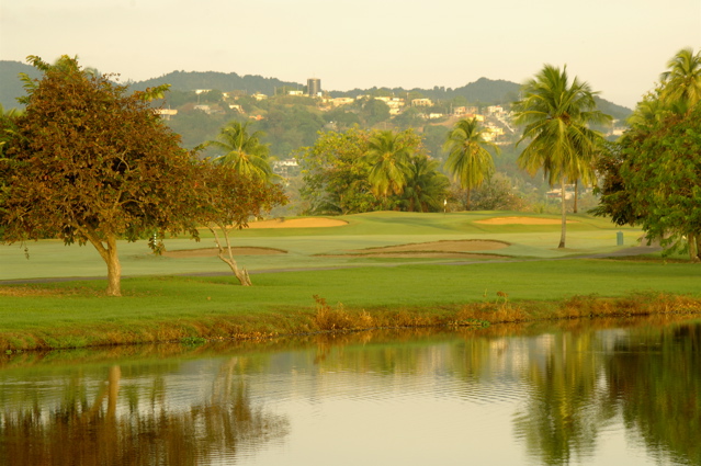 palmasdelmarpalmscourse0525