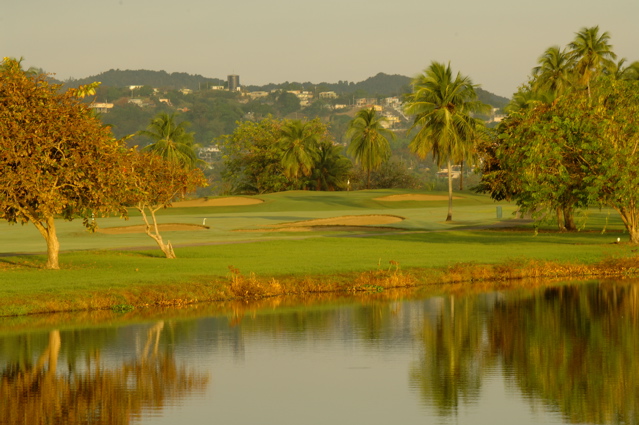 palmasdelmarpalmscourse0526