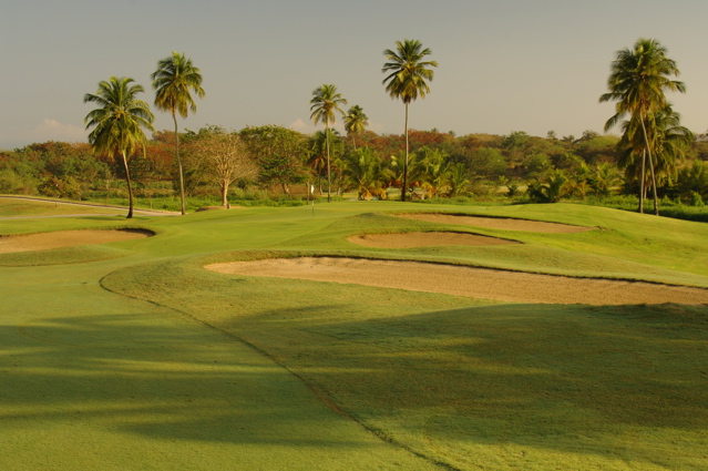 palmasdelmarpalmscourse0541