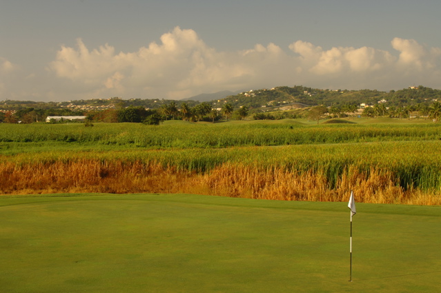 palmasdelmarpalmscourse0546