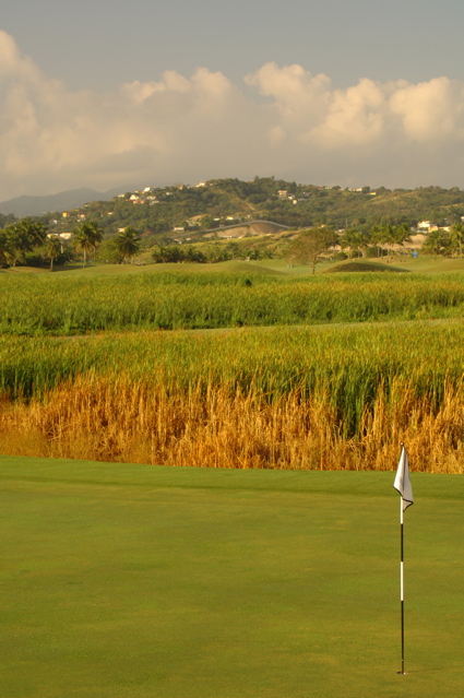 palmasdelmarpalmscourse0547