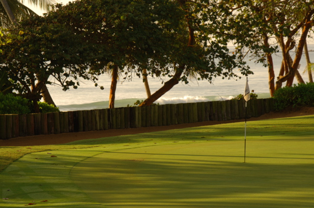 palmasdelmarpalmscourse0560