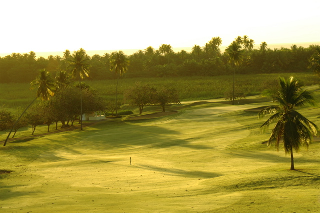 palmasdelmarpalmscourse0353