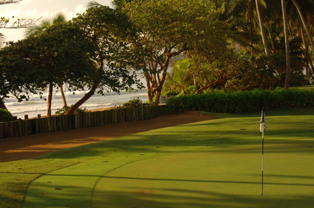 palmasdelmarpalmscourse0563