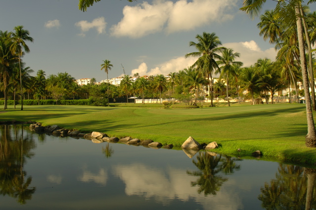 palmasdelmarpalmscourse0573