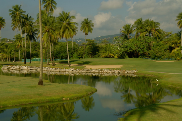 palmasdelmarpalmscourse0501