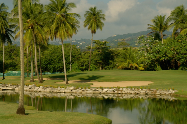 palmasdelmarpalmscourse0502