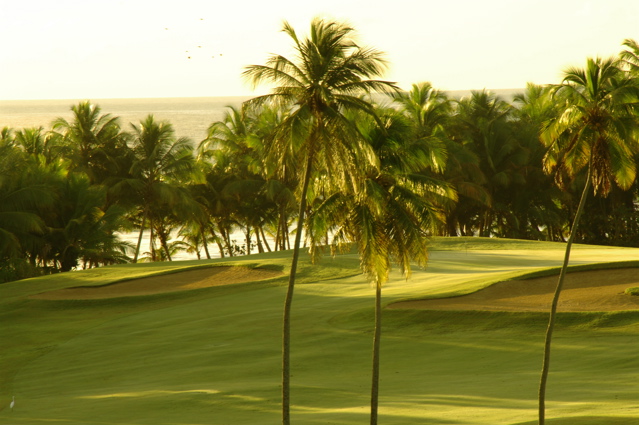 palmasdelmarpalmscourse0364