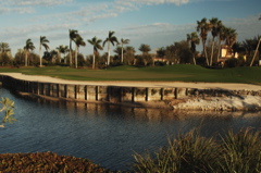 palmira0147