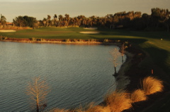 palmira0073