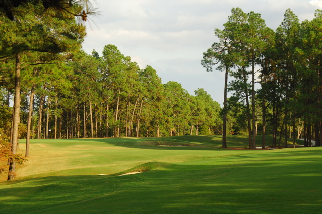 PinehurstNo10312