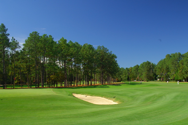 PinehurstNo20116