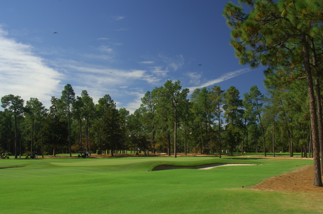 PinehurstNo20119