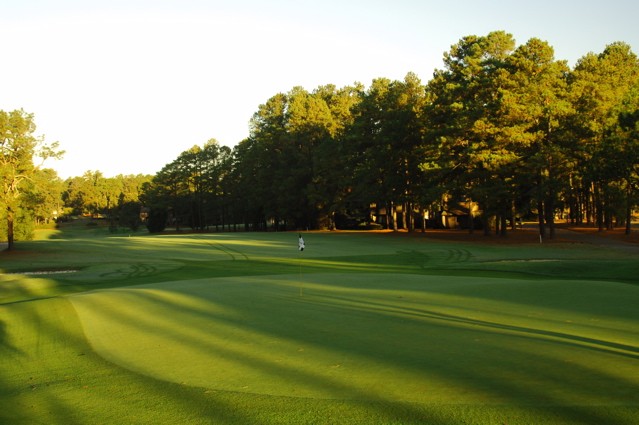 PinehurstNo30025