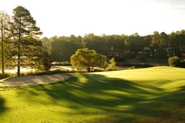 PinehurstNo30033
