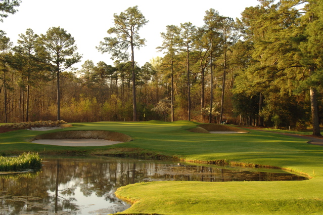 pineneedlesgolfcourse0020