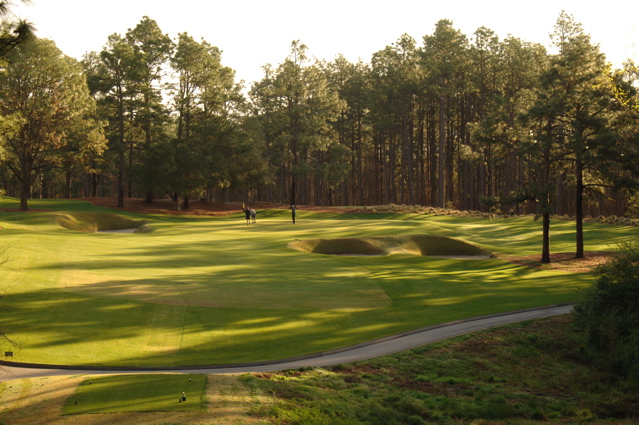 pineneedlesgolfcourse0044