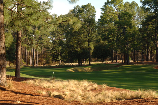 pineneedlesgolfcourse0110