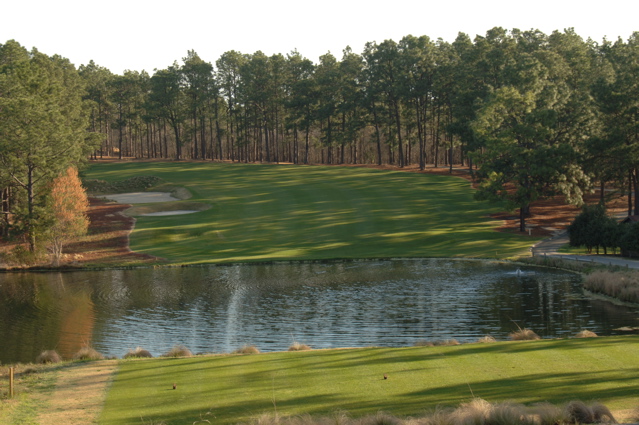 pineneedlesgolfcourse0113