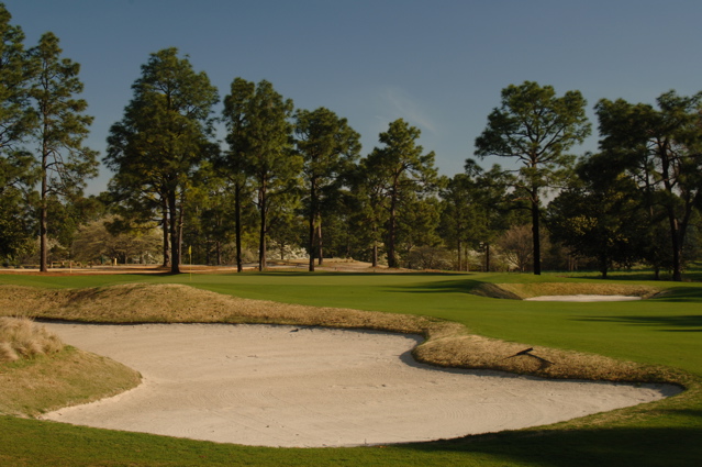 pineneedlesgolfcourse0125
