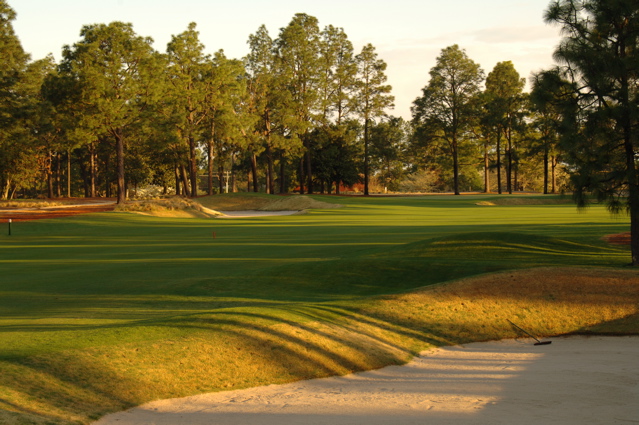 pineneedlesgolfcourse0006