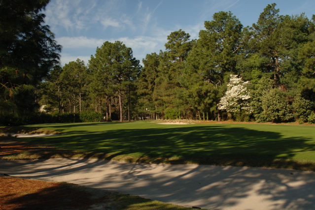 pineneedlesgolfcourse0129