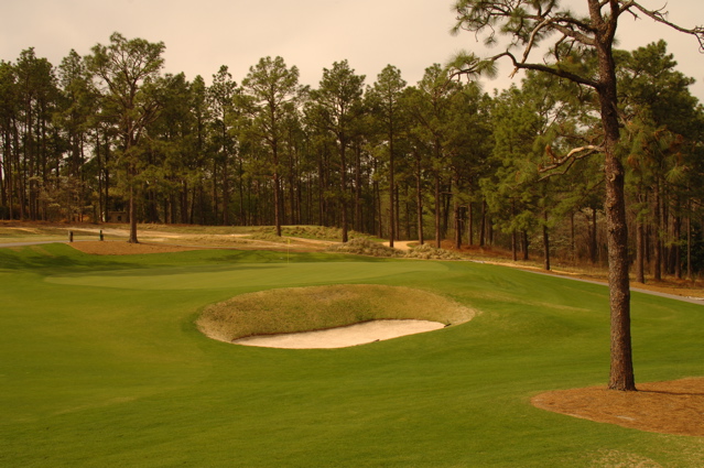 pineneedlesgolfcourse225