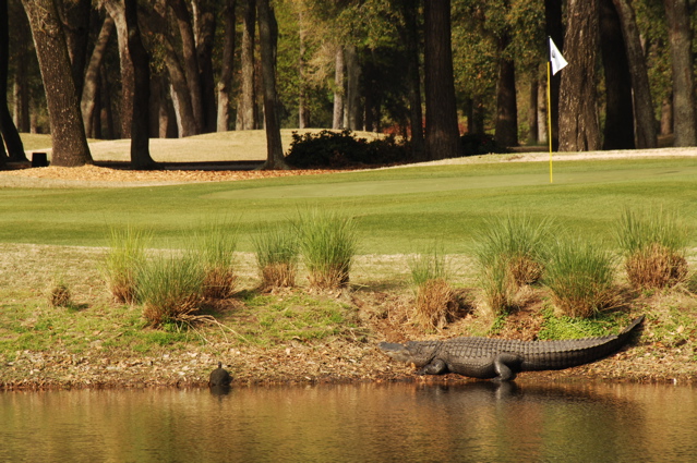 plantationcourse0038