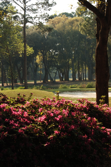 plantersrowcourse0088