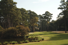 plantationcourse0034