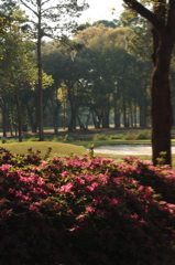 plantersrowcourse0088